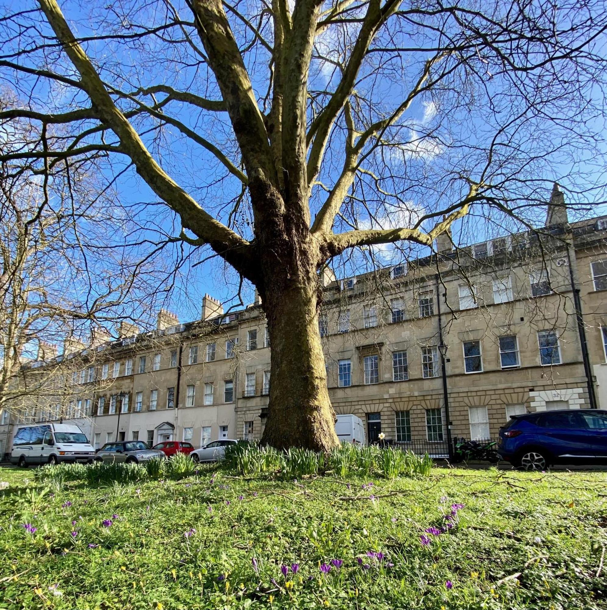 Grosvenor Apartments In Bath - Great For Families, Groups, Couples, 80 Sq M, Parking 외부 사진